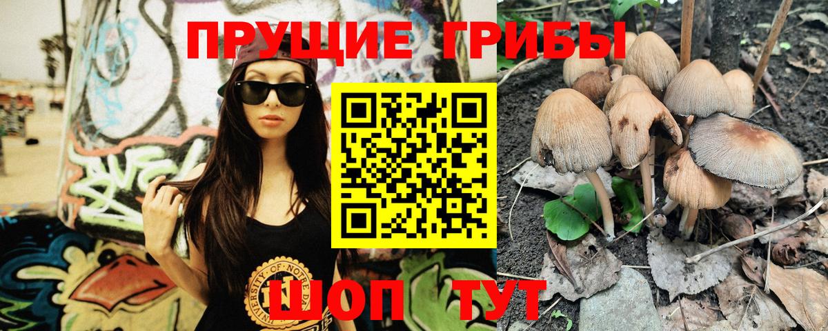 Галлюциногенные грибы Psilocybe  Вход с VPN  Алатырь  Галлюциногенные грибы MAGIC MUSHROOMS 